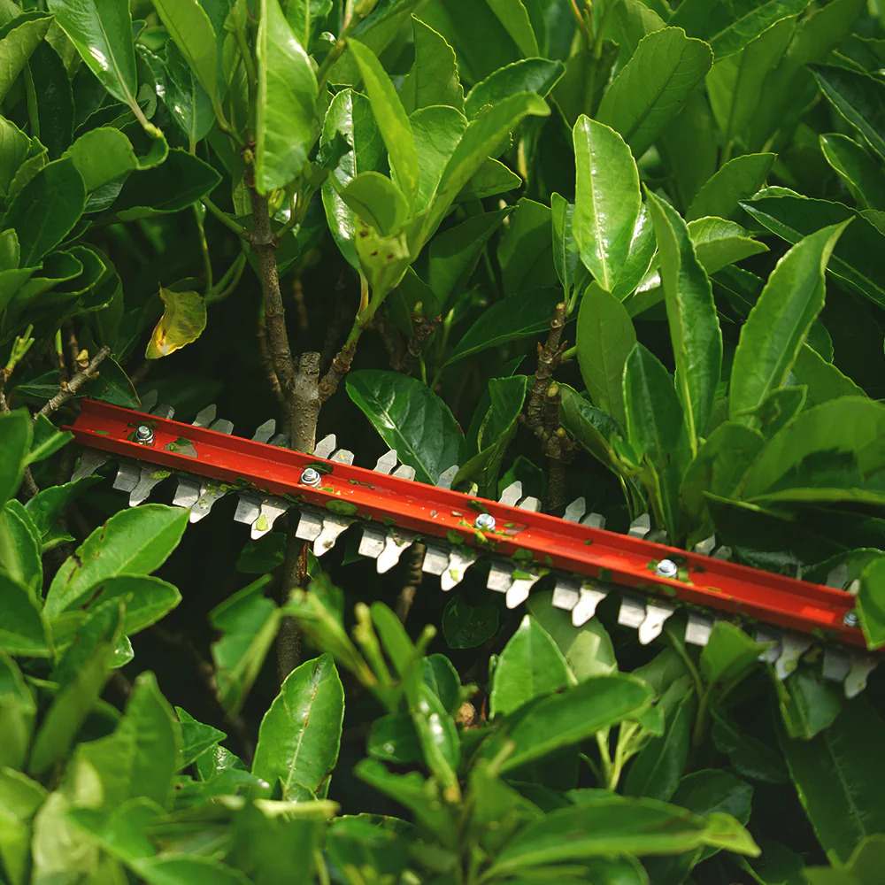 40V Heckenschere 61cm - 2Ah Akku - Image 9